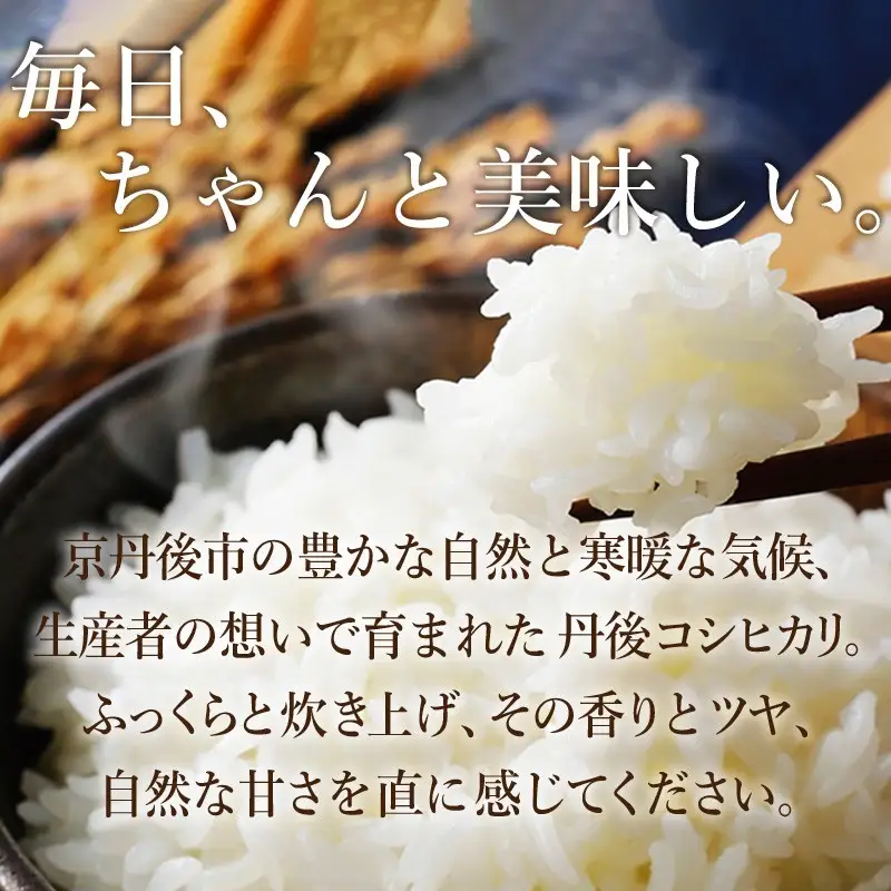 令和8年産 【先行予約】2026年産　京丹後産コシヒカリ 精米20kg 精米20kg コシヒカリ