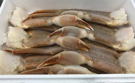 特大サイズ　生ズワイ蟹　3L 2kg