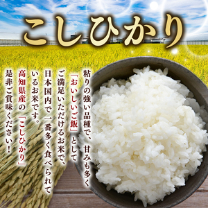 令和8年産 新米 こしひかり 5kg 3回定期便 新米
