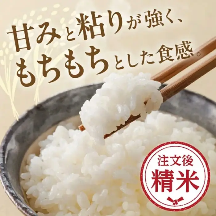 コシヒカリ精米 10kg [ コシヒカリ ] / 002308D