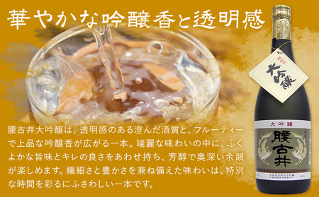 勝浦の大吟醸 720ml・2本入セットE 鳴海 きもと 純米 大吟醸720ml 腰古井 大吟醸720ml 有限会社　滝口商店《30日以内に出荷予定(土日祝除く)》千葉県 勝浦市 日本酒 酒 純米 吟醸