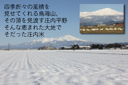 SB1017　令和7年産【精米】 はえぬき 6kg (2kg×3袋) SI