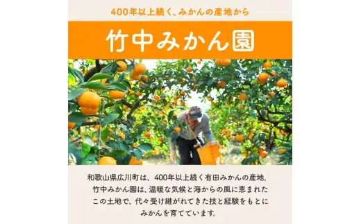 【でか甘】有田みかん 5kg 大玉みかん L～2L混合【tkn004-l-5A】
