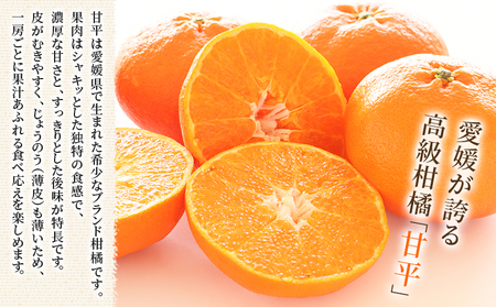 【先行予約】＜甘平 家庭用 約1.2kg＞ ご家庭用 かんぺい 高級 柑橘 ブランド みかん 蜜柑 訳あり 果物 くだもの フルーツ ミカン 愛媛 国産 ジューシー 明浜 特産品 笑丸 愛媛県 西予市【常温】『2027年2月上旬より順次出荷予定』AAN0075