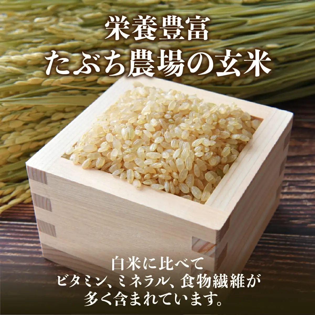 玄米1位獲得！寄付額改定〈スピード出荷〉減農薬 特A 玄米 丹波篠山産 特別栽培米 こしひかり 5kg