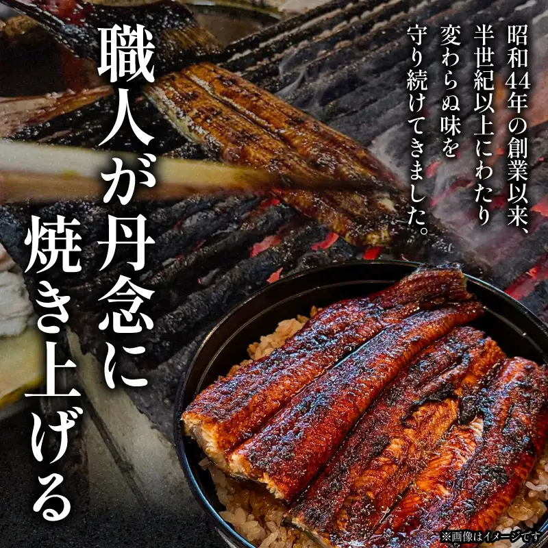 うなぎ 蒲焼 うなぎ[国産 2尾 約280g 一力]