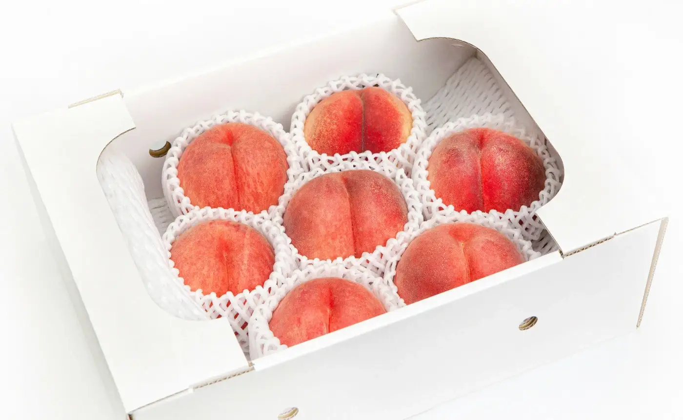 もも 大玉 硬い 白桃 約 3kg フルーツ 果物 山形 桃