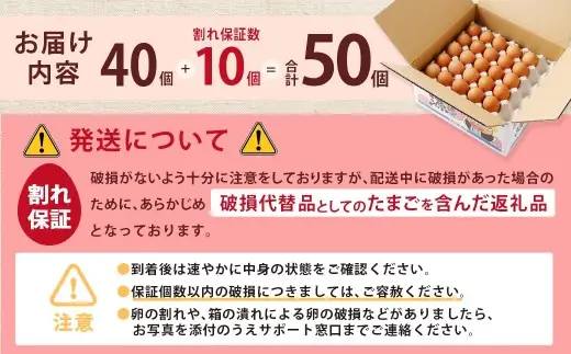 赤穂の源 50個（40個+割れ保証10個）（25×2パック） 鶏卵 卵 たまご 卵かけご飯 卵焼き 朝ごはん ご飯 ご褒美 冷蔵 兵庫県 赤穂市