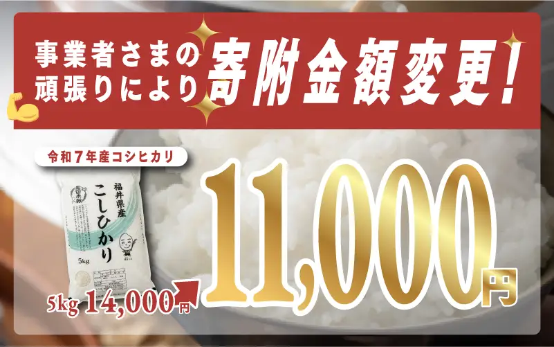 【寄付額見直し】【令和7年産】コシヒカリ 5kg（5kg × 1袋）お米 ごはん