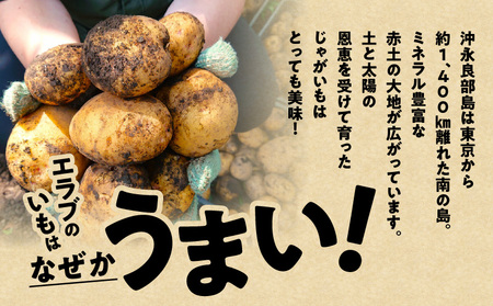 erabu chips （ 塩 ） 40箱 セット C068-001-40 ポテトチップス 菓子 お菓子 アレルゲンフリー