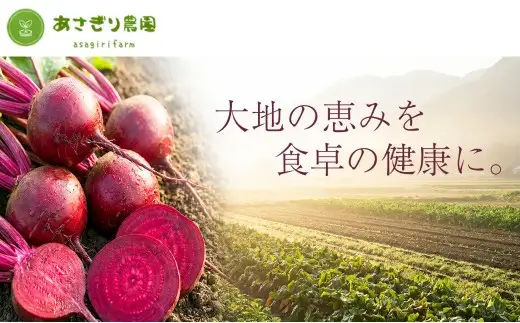 自社農園栽培 ビーツパウダー微粉末 300g（50g×6袋） 凝縮 超粗粉 粉末 健康 美容 国産 九州 熊本県 あさぎり町