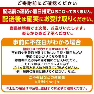 ＜先行予約！2026年12月中旬以降順次発送＞京都府宇治市産いちご(大粒・各計約500g・約250g×2パック・ギフト箱入り) 苺 イチゴ 果物 くだもの フルーツ 【uj-FL002-B】【red】