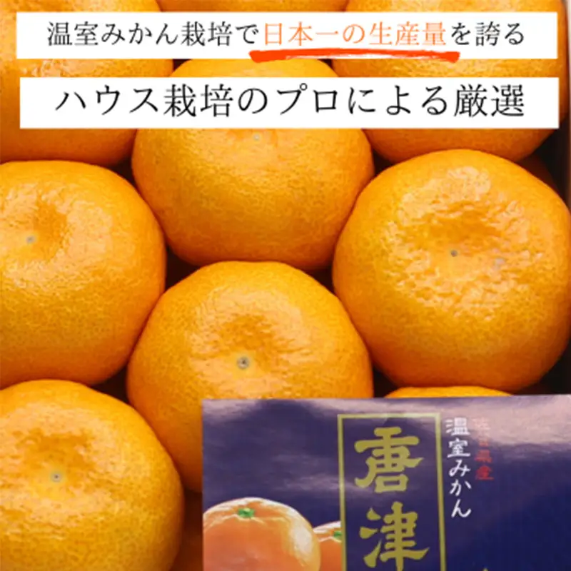『先行予約』【令和9年7月上旬より順次発送】【全国出荷量1位】佐賀県ハウスみかん 1.8kg