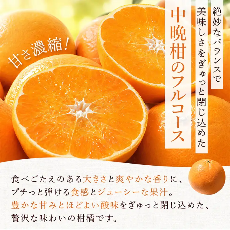 『先行予約』【令和9年3月上旬より順次発送】◎にじゅうまる◎ 5kg 佐賀県産【高級柑橘みかん】