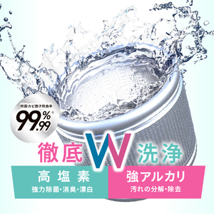 WASHMANIA 洗濯槽クリーナー1回分200g クリックポスト 北島町 ドリームチーム
