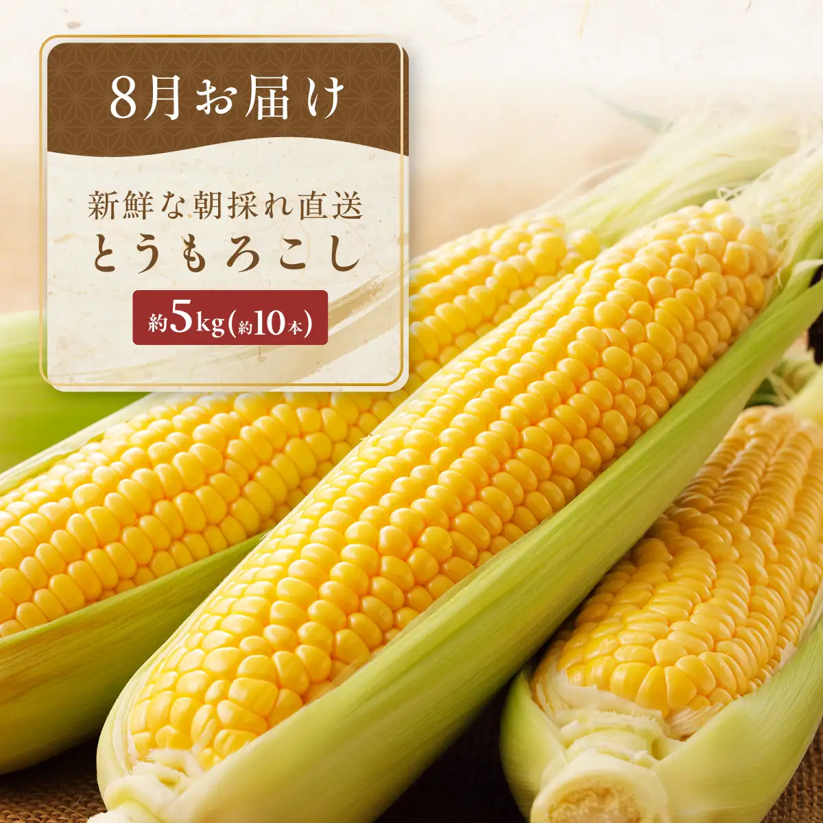 【定期便】旬の農産物定期便 年3回お届け ABAO2211 | 野菜 定期便
