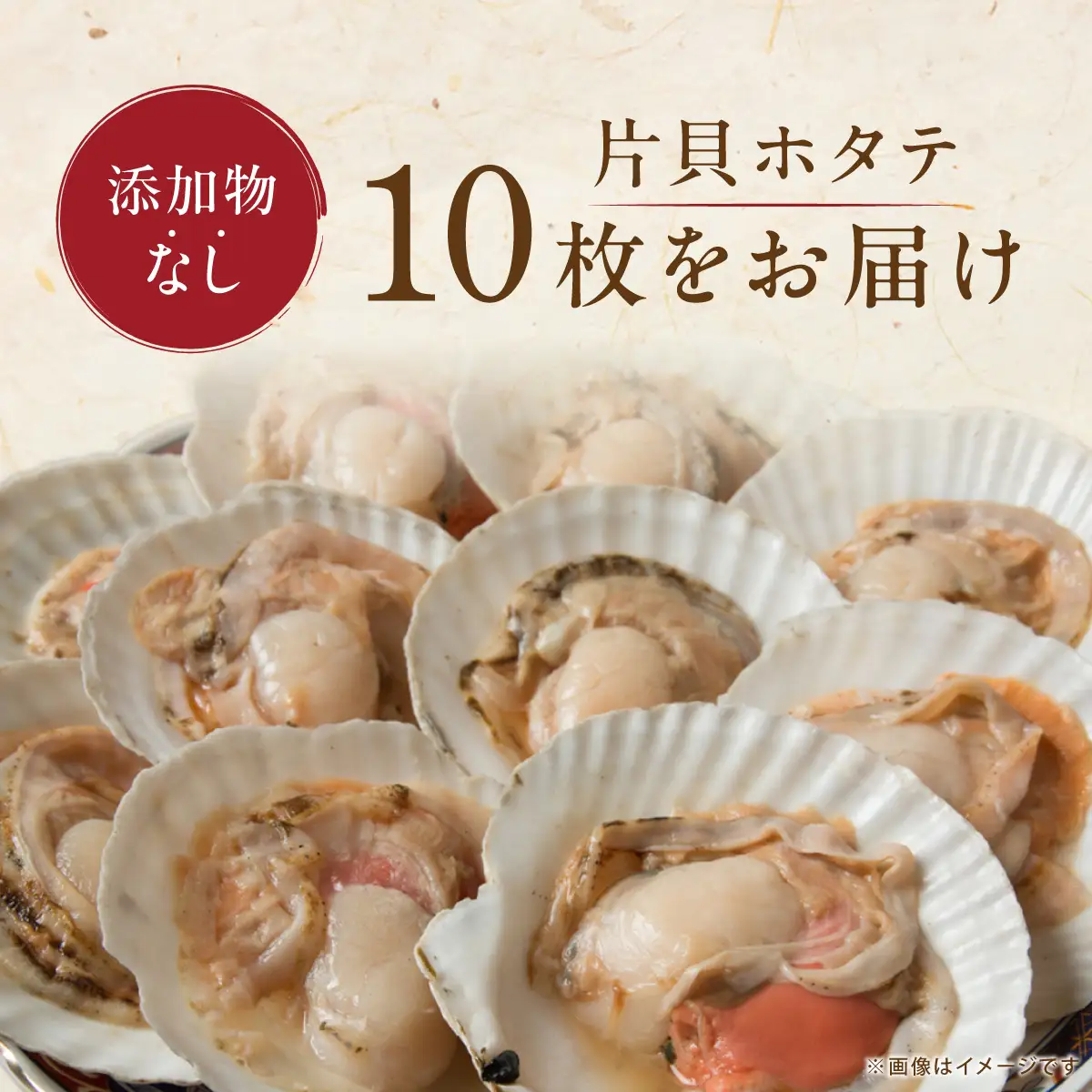 かにやで人気の片貝ホタテ10枚 ABAO2212 | ホタテ
