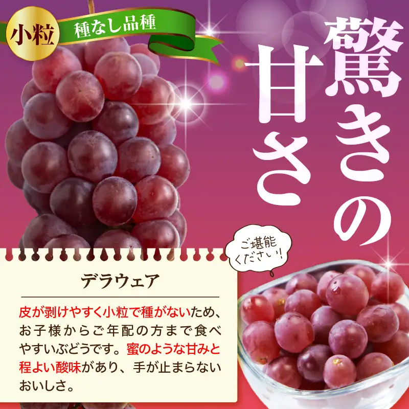 ぶどう ( デラウェア ) 2kg フルーツ 果物 山形