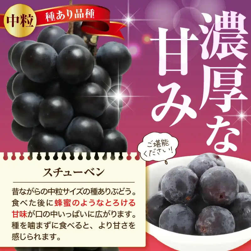 ぶどう スチューベン 2kg フルーツ 果物 山形 天童 ブドウ