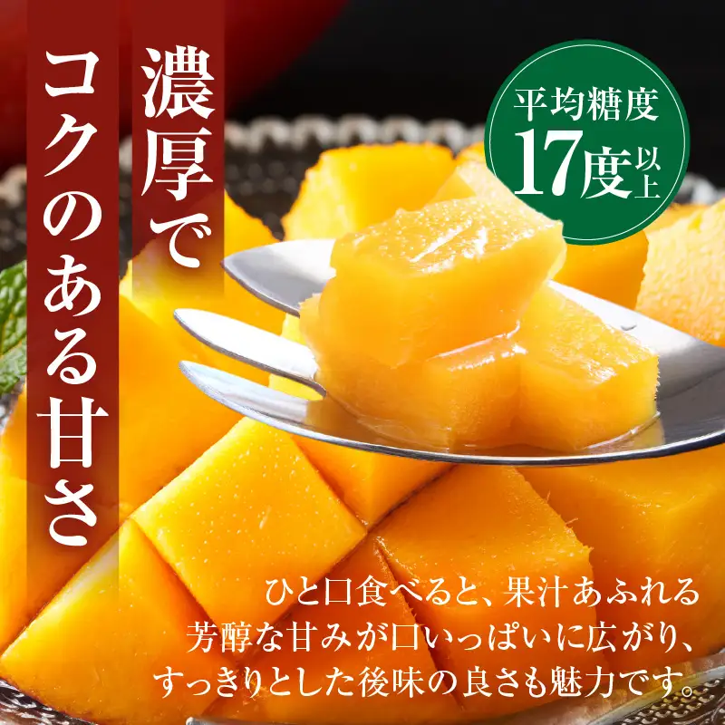 マンゴー 完熟 マンゴー[宮崎 2L 2玉 MASAHIRO MANGO]