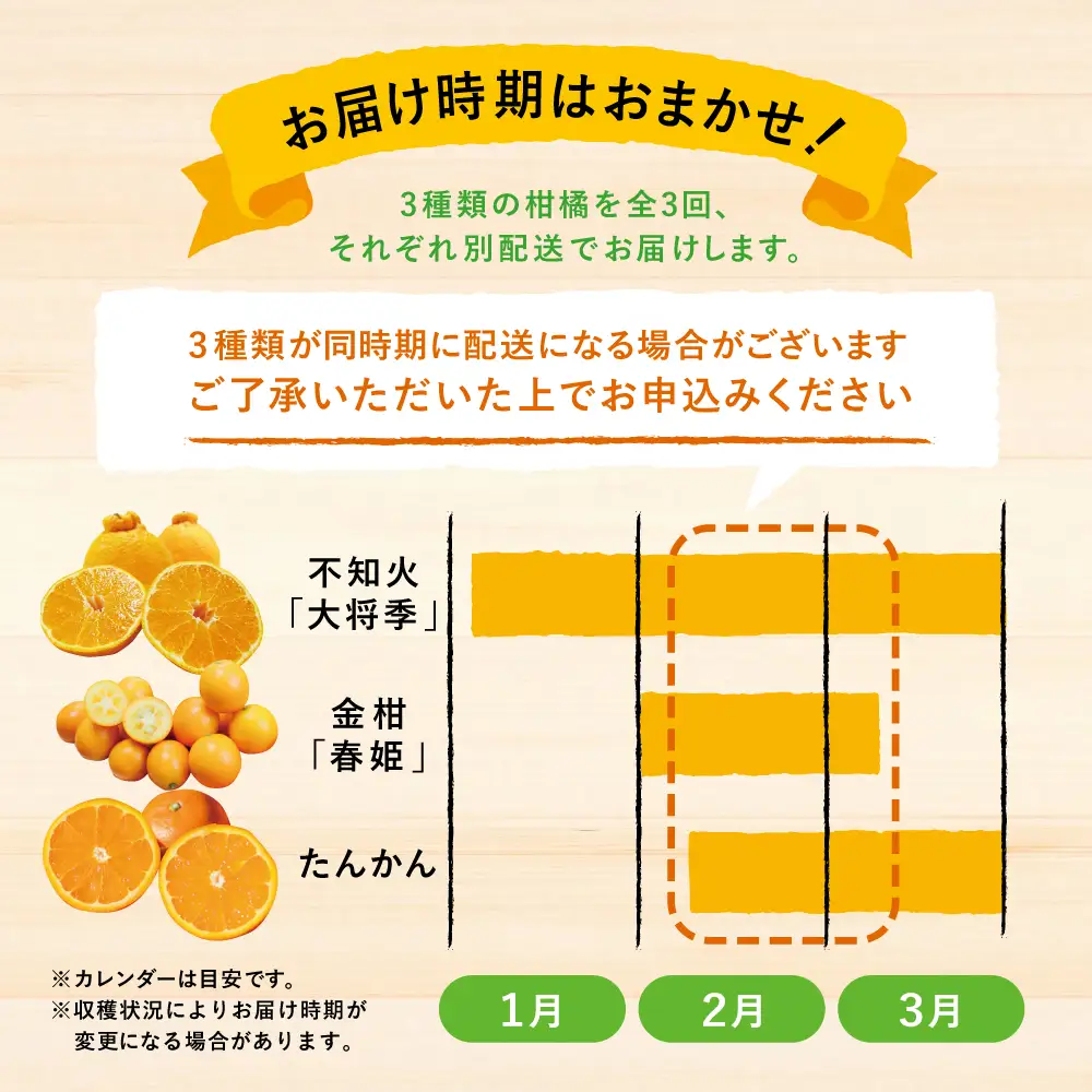 南国の恵み 旬の柑橘食べ比べ（全3回お届け）★2027年1～3月お届け★ 果物 フルーツ 柑橘 定期便