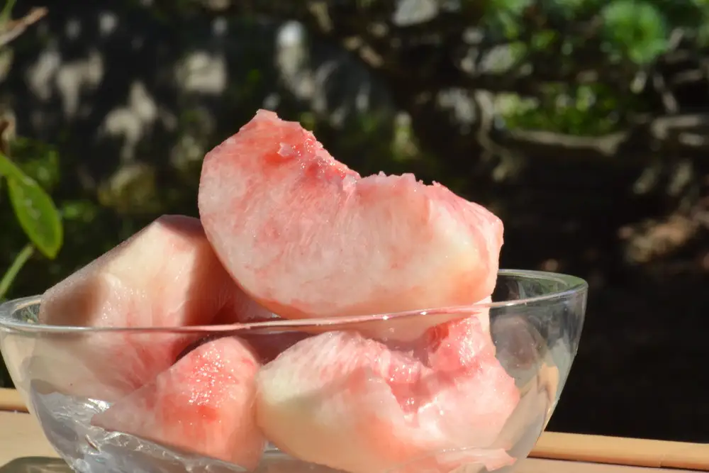 硬い !! もも 美晴白桃 2kg フルーツ 果物 山形 桃