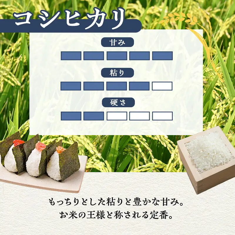 【定期便6ヶ月】令和8年産 米 新米 コシヒカリ 5kg 10月発送
