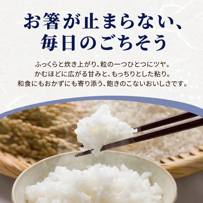 【12回定期便】新米予約 コシヒカリ 5㎏×12 令和8年産 コシヒカリ