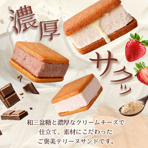 テリーヌサンド 6個 3種×2個 （プレーン・純苺・チョコレート） 北島町 ドリームチーム