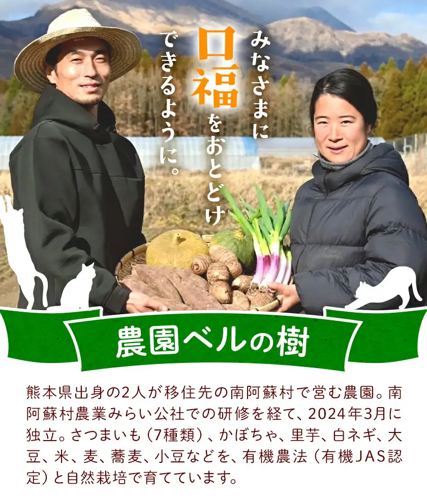 有機JAS認定 紅はるか 5kg 農園ベルの樹 熊本県 南阿蘇村 さつまいも オーガニック 有機栽培 薩摩芋