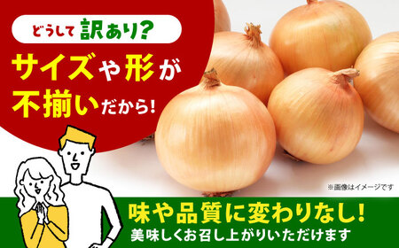 【今が旬!】 訳あり 玉ねぎ 10kg 　【えぐちファーム】 不揃い たまねぎ[HDE004]