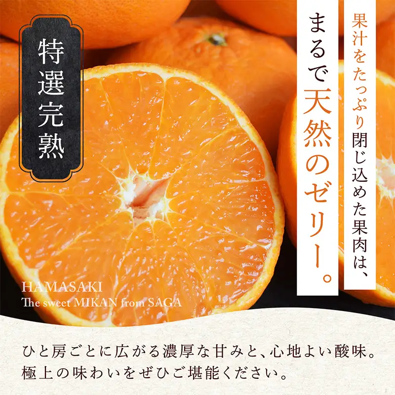 『先行予約』【令和9年2月上旬より順次発送】【特選甘熟みかん】はまさき 5kg