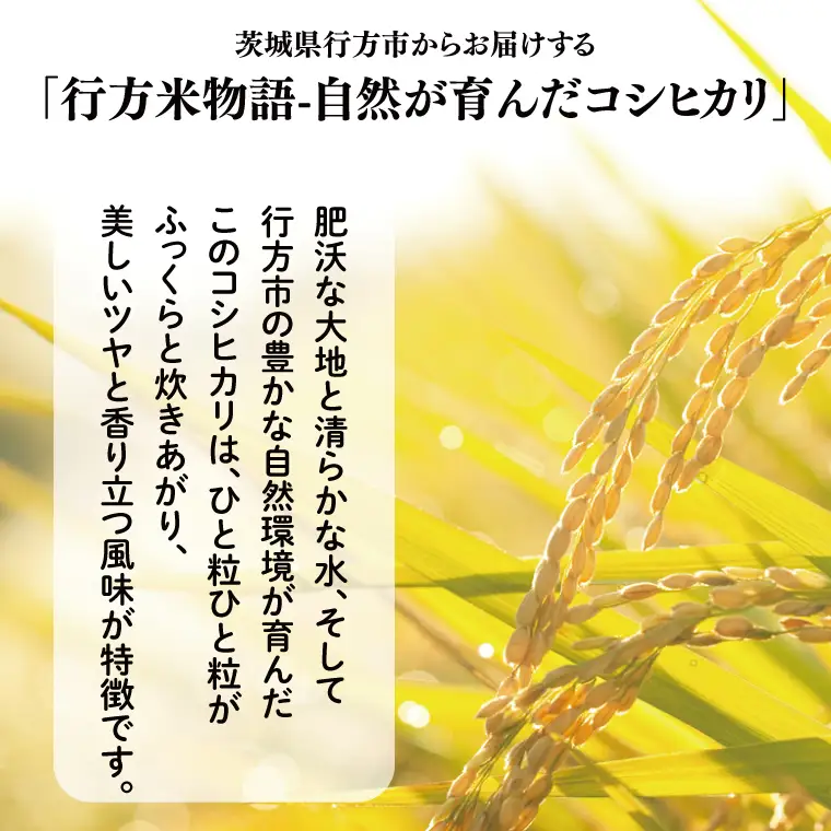 【令和8年産新米】～農産物直売所「やさいの声」厳選～「行方米物語 - 自然が育んだコシヒカリ５kg｜米 お米 こめ コシヒカリ ご飯 白ご飯 令和8年産 R8年産 茨城県 行方市(EK-7-2)
