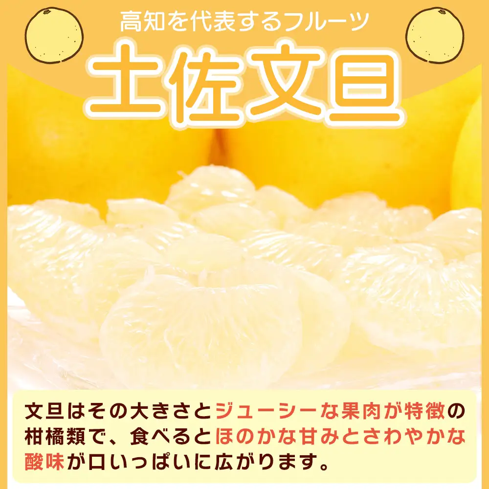 土佐文旦 家庭用 3kg 大小混合(サイズ：L～3L) 文旦 yk-0083