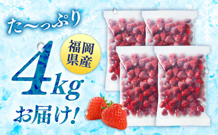 【全3回定期便】訳あり冷凍いちご「博多あまおう」4kg（1kg×4袋）（加工用）  桂川町/株式会社やまやコミュニケーションズ[ADAN071]