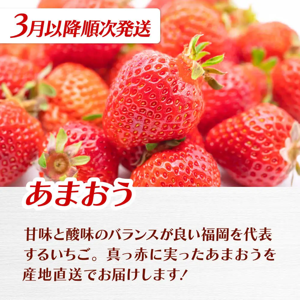 【全3回定期便】九州・福岡もぎたて フルーツ定期便 A　桂川町/一般社団法人地域商社ふるさぽ[ADCF017]