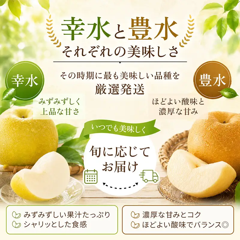 『先行予約』【令和8年7月上旬より順次発送】唐津産 梨 5kg【旬の味覚】幸水 豊水