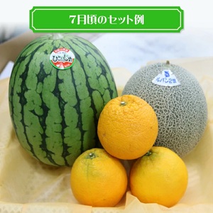南国紀州・日高の太陽が育んだ季節のフルーツセットA《先行予約》【2027年1月下旬頃より順次発送予定】【0373-3】