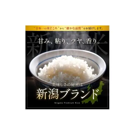 米 令和7年産 新潟産なんかん米こしいぶき 精米5kg
