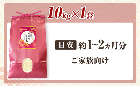 秋田県 羽後町産 あきたこまち 精米 10kg（10kg×1袋）【 米 お米 白米 精米 アキタコマチ 美味しい 秋田 羽後 】