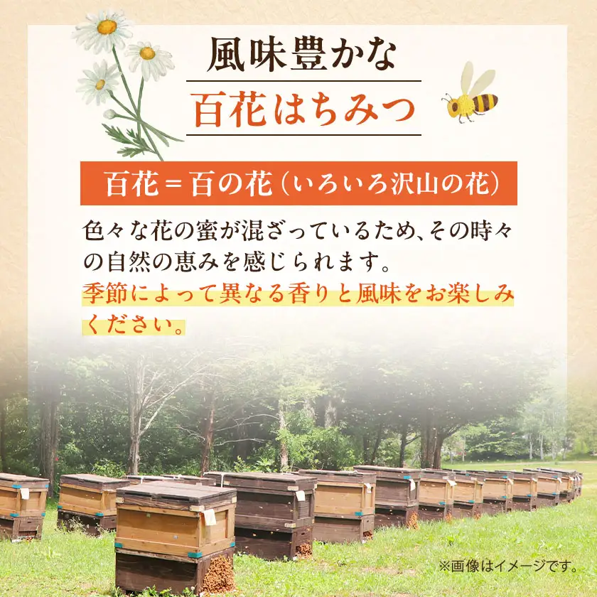 百花はちみつ 1200g【1712889】