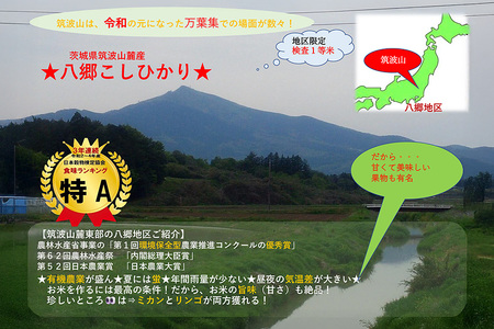 筑波山麓厳選米【特A】コシヒカリ（恋瀬姫の舞）白米10kg B07-012
