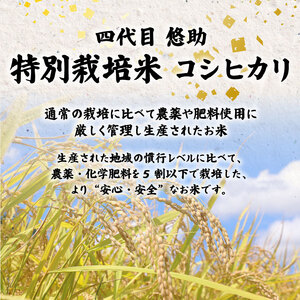 【令和8年 先行予約】新潟県産コシヒカリ5kg(5キロ×1) kwsKH |新潟県 コシヒカリ おこめ