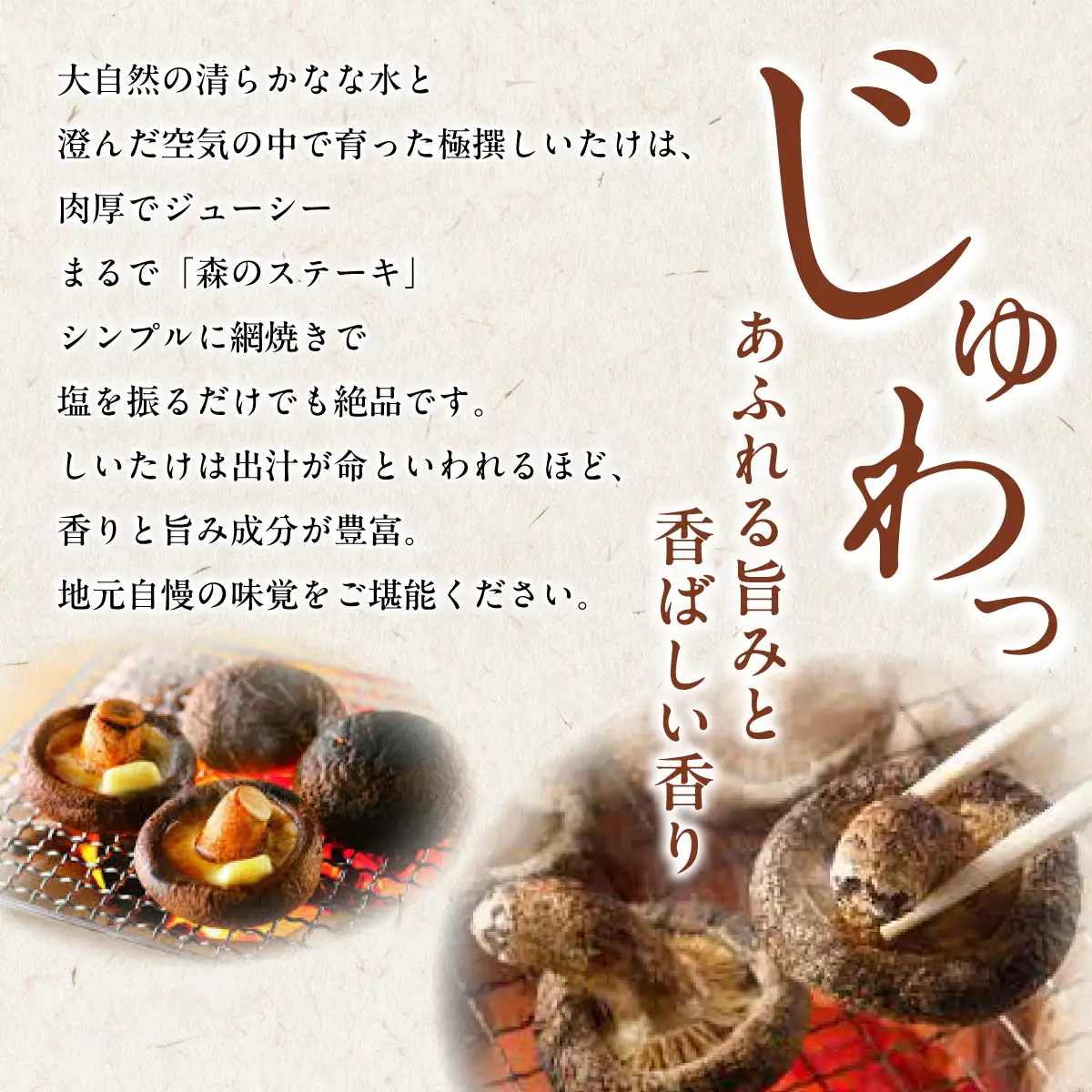 北海道の自然で育った 極撰 肉厚しいたけ1kg HOKBA001