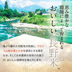 伊那市産 こしひかり 15kg 【039-04】