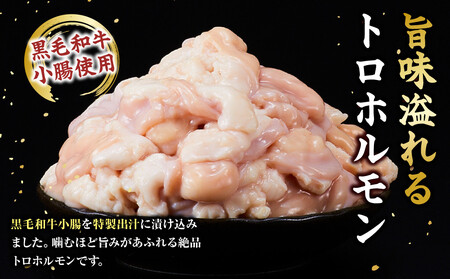 黒毛和牛トロホルモン（小腸）　特製だし0.6kg ( 300g ×2パック )【2026年9月発送】