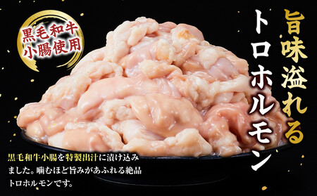 黒毛和牛トロホルモン（小腸）　特製だし0.9kg ( 300g ×3パック )【2026年11月発送】