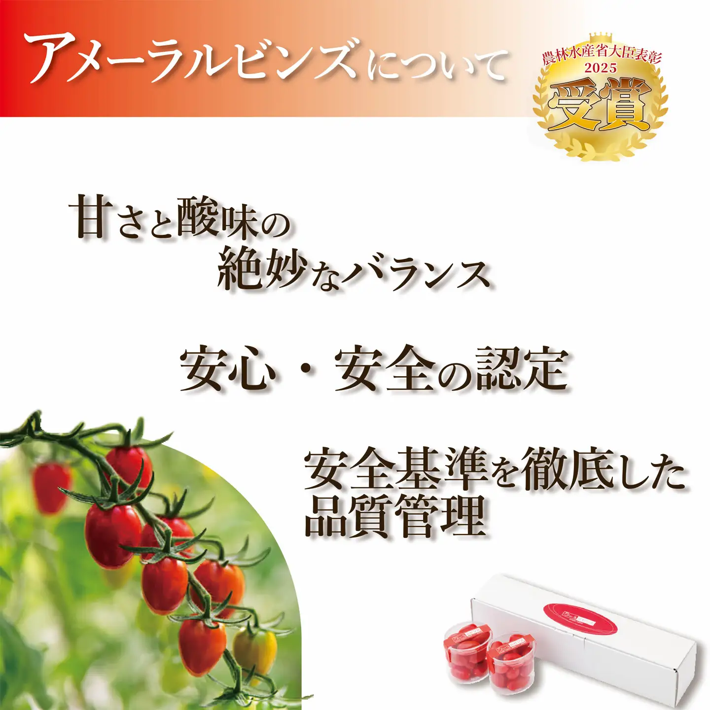 ミニトマト アメーラルビンズ 約60g×10P トマト