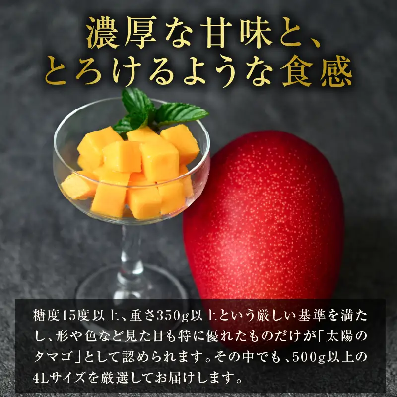 先行予約 完熟マンゴー 太陽のタマゴ 4L × 2玉 2027年産_IG5-25