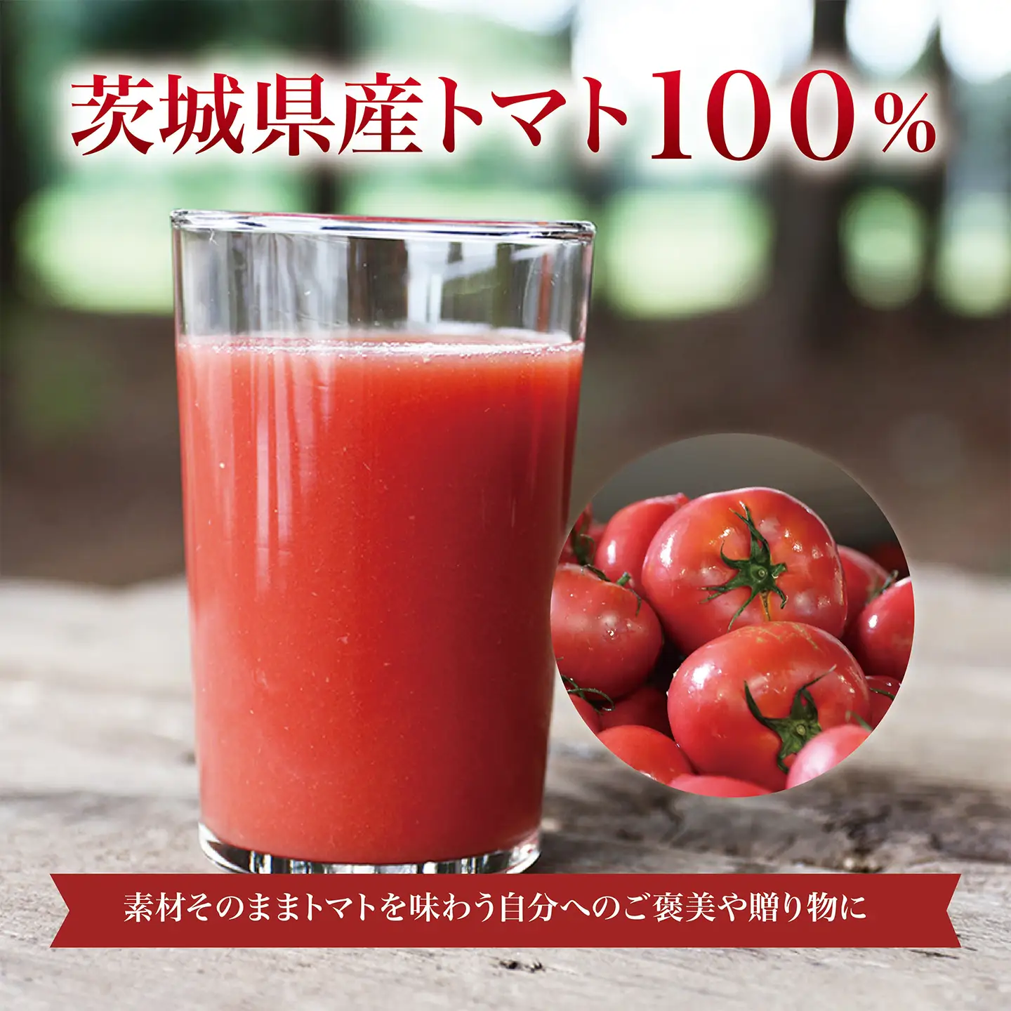 国産トマト100% トマトジュース 100g×15パック 